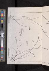 Go to image 71.