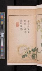 Go to image 409.