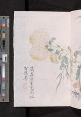 Go to image 165.