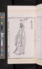Go to image 263.