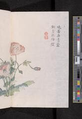 Go to image 148.