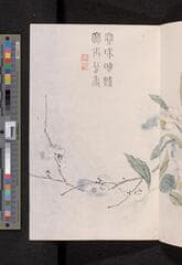 Go to image 151.