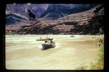 Landing at Tanner