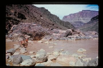 Bedrock Rapids
