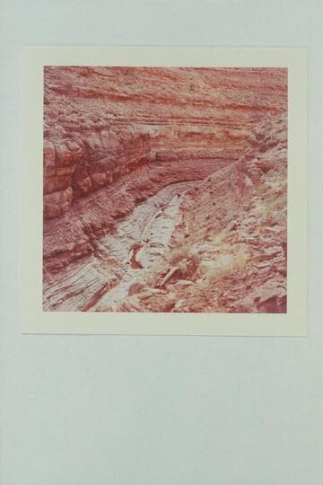 Dark Canyon between LeanTo Canyon and the river.  Rico formation