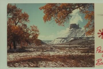 Professor Valley
