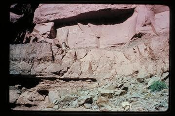 Kolb inscription