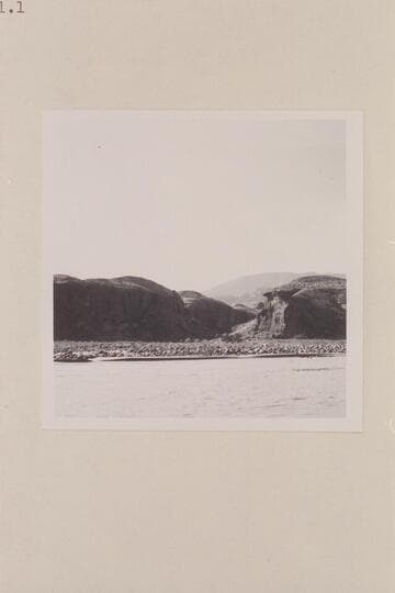 Mouth of Black Water Creek; Mile 71.3