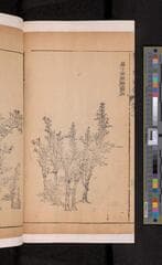 Go to image 122.