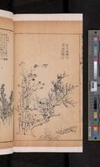 Go to image 128.