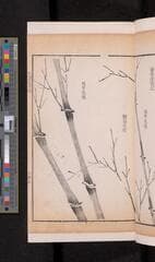 Go to image 163.