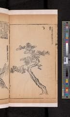 Go to image 146.