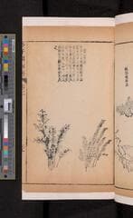 Go to image 159.