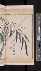 Go to image 190.
