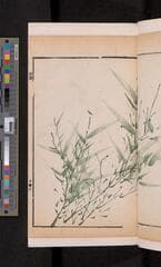 Go to image 193.