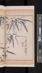 Go to image 230.