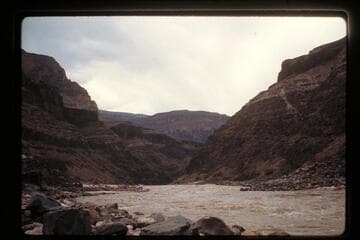 Dubendorff Rapids