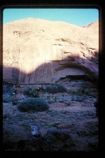 Camp; Nasja Creek
