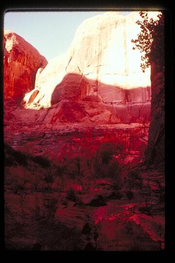 Anasazi Canyon