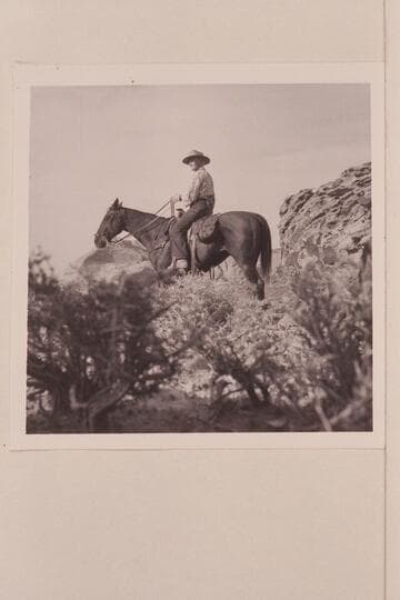Mary Abbott. Trail from Rainbow Bridge