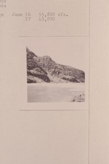 Head of Deubendorff [sic] Rapid