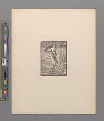 Go to image 6.