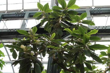Go to image 12.