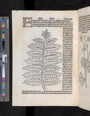 Go to image 244.