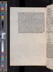 Go to image 186.