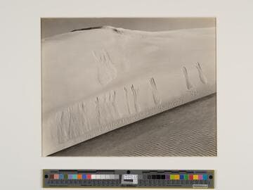 Oceano