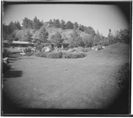 Go to image 11.