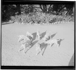 Go to image 7.