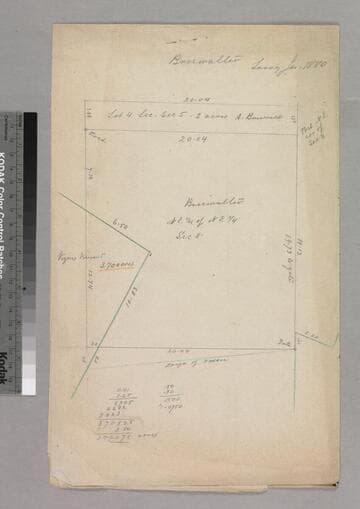Briswalter survey