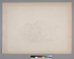 Go to image 105.