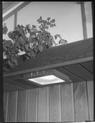 Go to image 49.