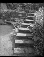 Go to image 10.