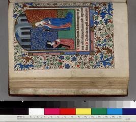 Go to image 7.