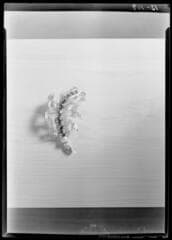 Go to image 6.