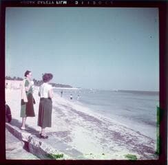 Go to image 12.