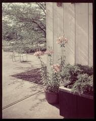 Go to image 6.