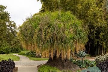 Go to image 5.