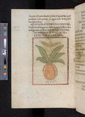 Go to image 106.