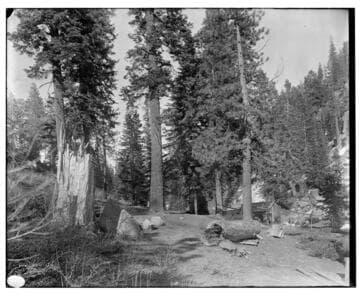 Big Creek Scenery