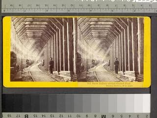 Go to image 1.