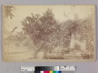 Go to image 1.
