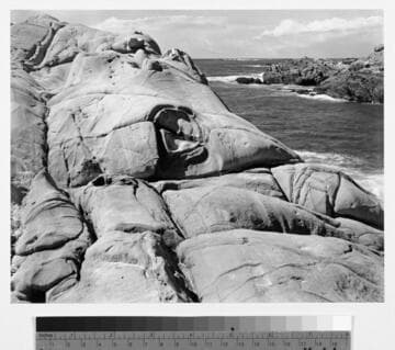 Point Lobos