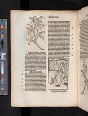 Go to image 152.