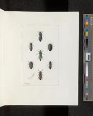 Go to image 129.