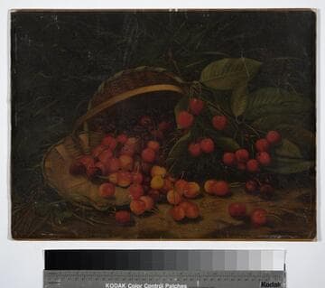 Cherries and basket