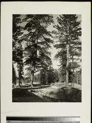 Go to image 64.